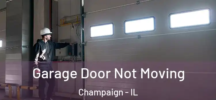  Garage Door Not Moving Champaign - IL