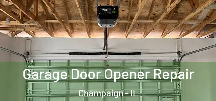  Garage Door Opener Repair Champaign - IL