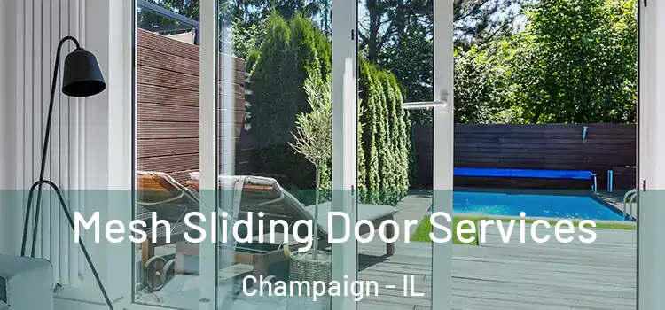 Mesh Sliding Door Services Champaign - IL